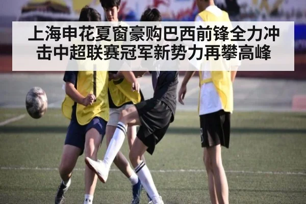 上海申花夏窗豪购巴西前锋全力冲击中超联赛冠军新势力再攀高峰