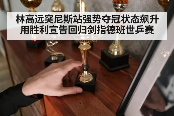 林高远突尼斯站强势夺冠状态飙升用胜利宣告回归剑指德班世乒赛